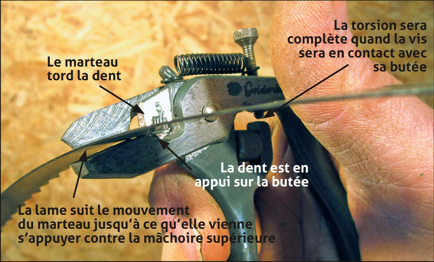 La lame de scie dents pour l'affûteur le broyage de la lame HSS - Chine  L'affûteur de lame de scie, lame de la machine de meulage