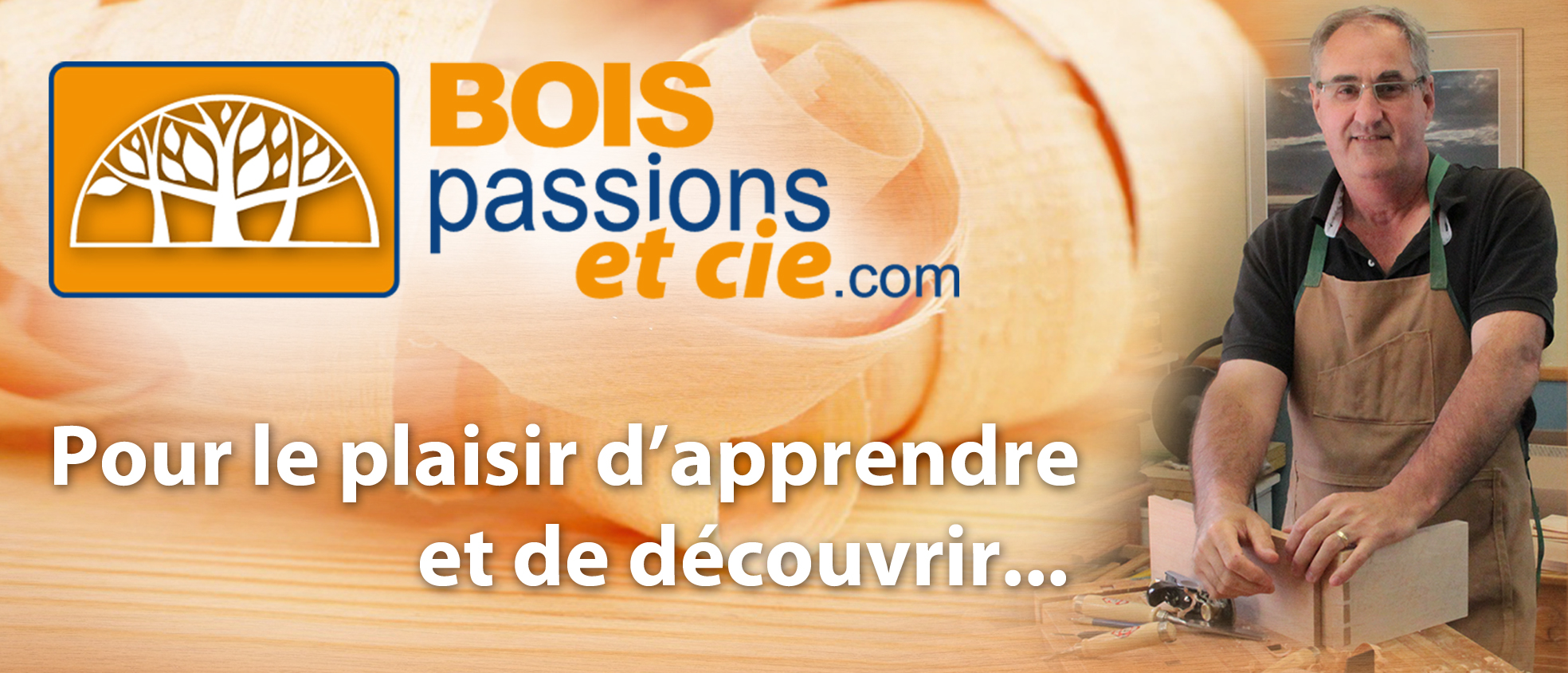 Techniques d'assemblages pas à pas - Bois passions et cie