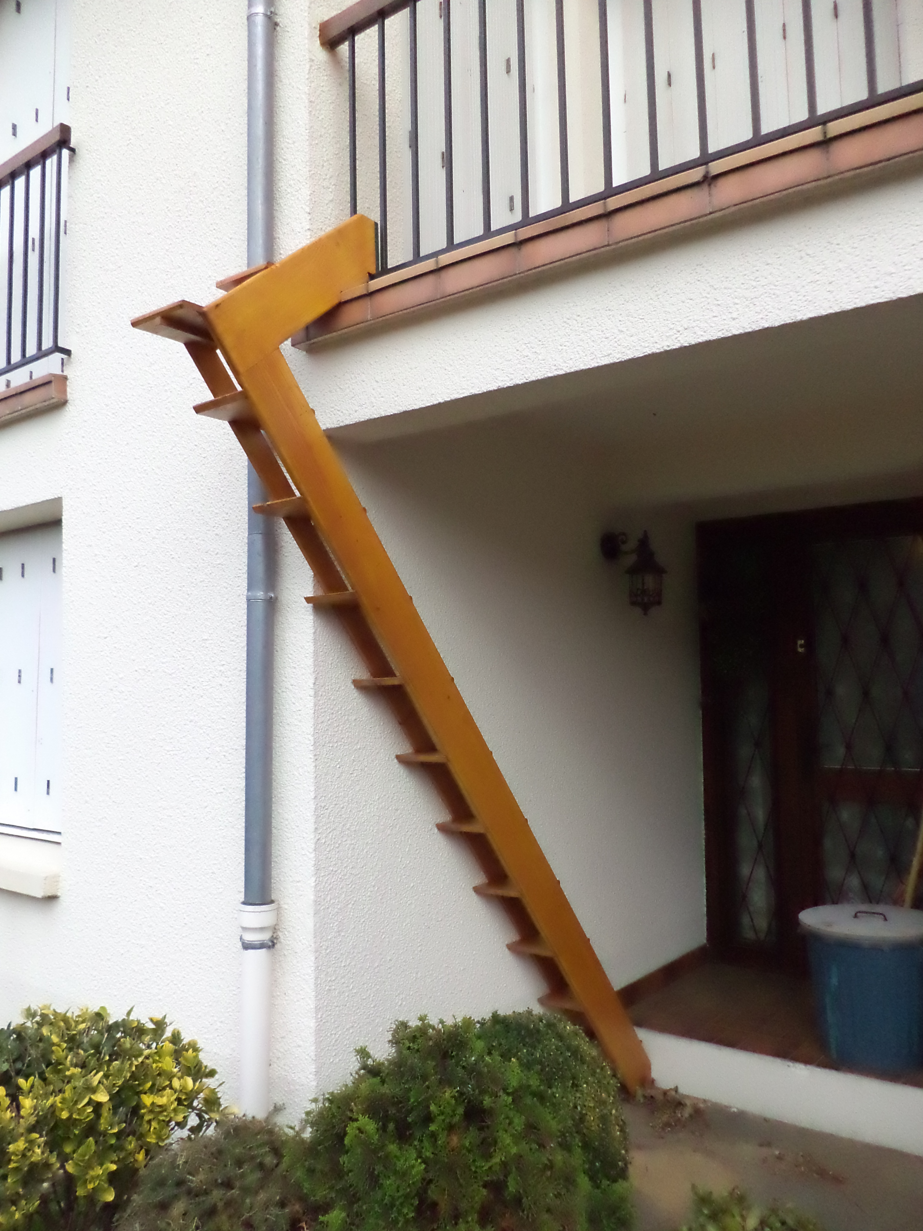 Un Escalier Pour Chat L Echelle De Taz Bois Le Bouvet