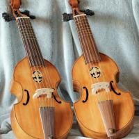 Lutherie : dessous de violes, les tables d'harmonie sont en pin