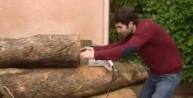 Parcours de vie Guillaume Dubosq, Le travail du bois d'olivier