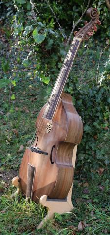 Lutherie : basse viole en noyer, table d'harmonie en épicéa étuvé