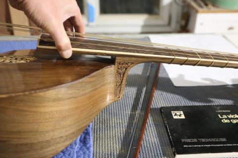 Lutherie : détails basse de viole en noyer